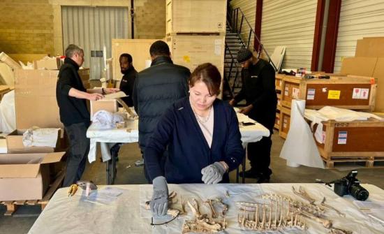 Монголоос Францад хууль бусаар гарсан үлэг гүрвэлийн олдворуудыг буцаан авчирна