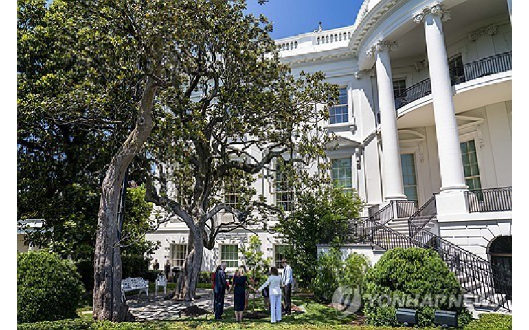 Д.Трамп Цагаан ордны өмнө 200 жил ургасан модыг тайрахыг тушаав